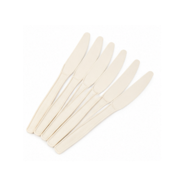 Cornstarch and Plastic Cutlery (7)
