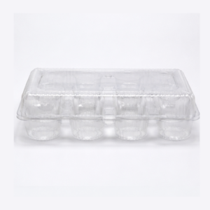 Cup Cake and Muffin Containers
