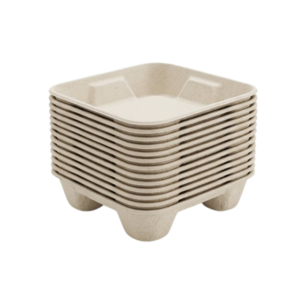 Hard Pulp Food Trays (1)