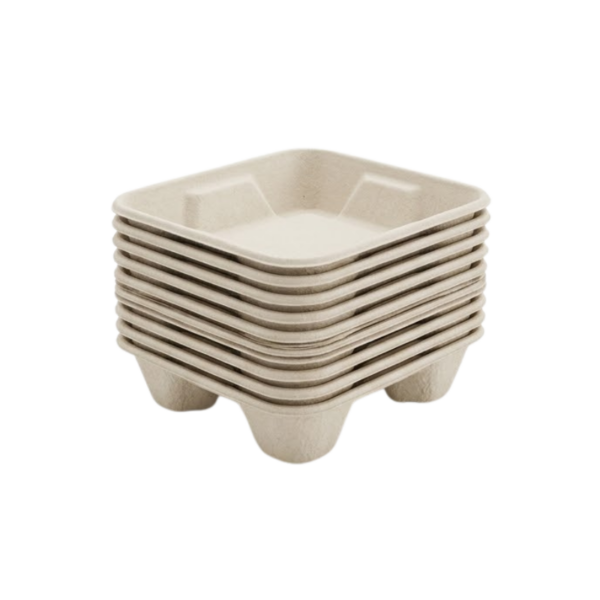 Hard Pulp Food Trays (3)