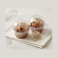 Muffin and Cupcake (3)