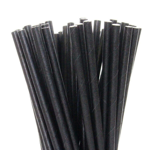 Sold_Black_Paper_Straws__35661.1458752030.1280.1280__01738