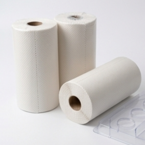 Supplies & Cleaning:Certainty Plus Disinfectant GYM Wipes 2 Rolls 800 Sheets
